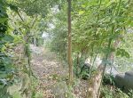 Gavorrano a pochi passi dal centro storico vendesi appartamento con giardino privato