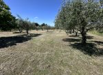 A POCHI MINUTI DAL CENTRO DI BAGNO DI GAVORRANO BELLISSIMA CASA IN CAMPAGNA