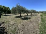 A POCHI MINUTI DAL CENTRO DI BAGNO DI GAVORRANO BELLISSIMA CASA IN CAMPAGNA