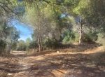 FOLLONICA VENDESI TERRENO AGRICOLO