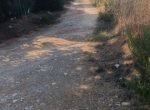 FOLLONICA VENDESI TERRENO AGRICOLO