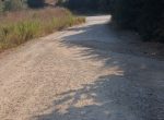 FOLLONICA VENDESI TERRENO AGRICOLO