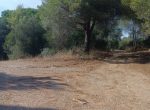 FOLLONICA VENDESI TERRENO AGRICOLO
